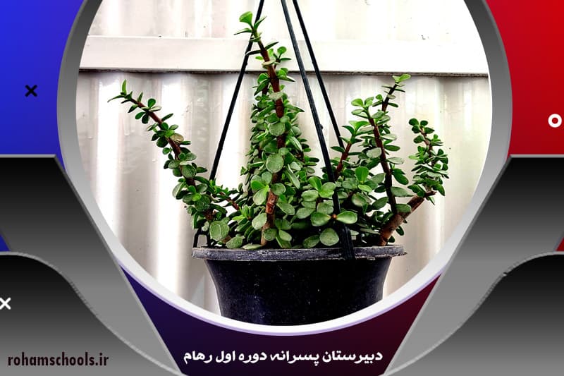 دبیرستان پسرانه دوره اول رهام